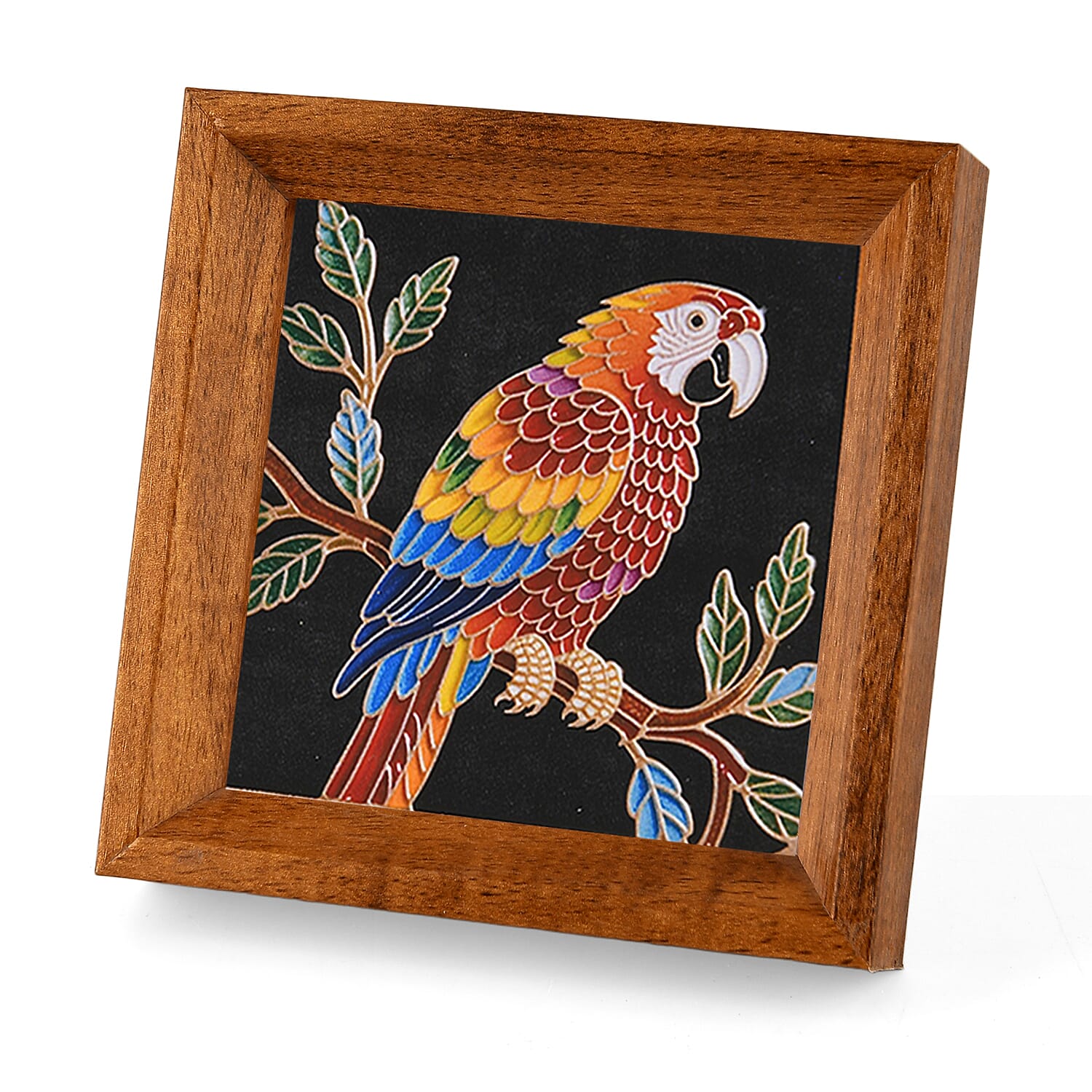 Picture Frame (Size - One Size) - Multi Color & Brown