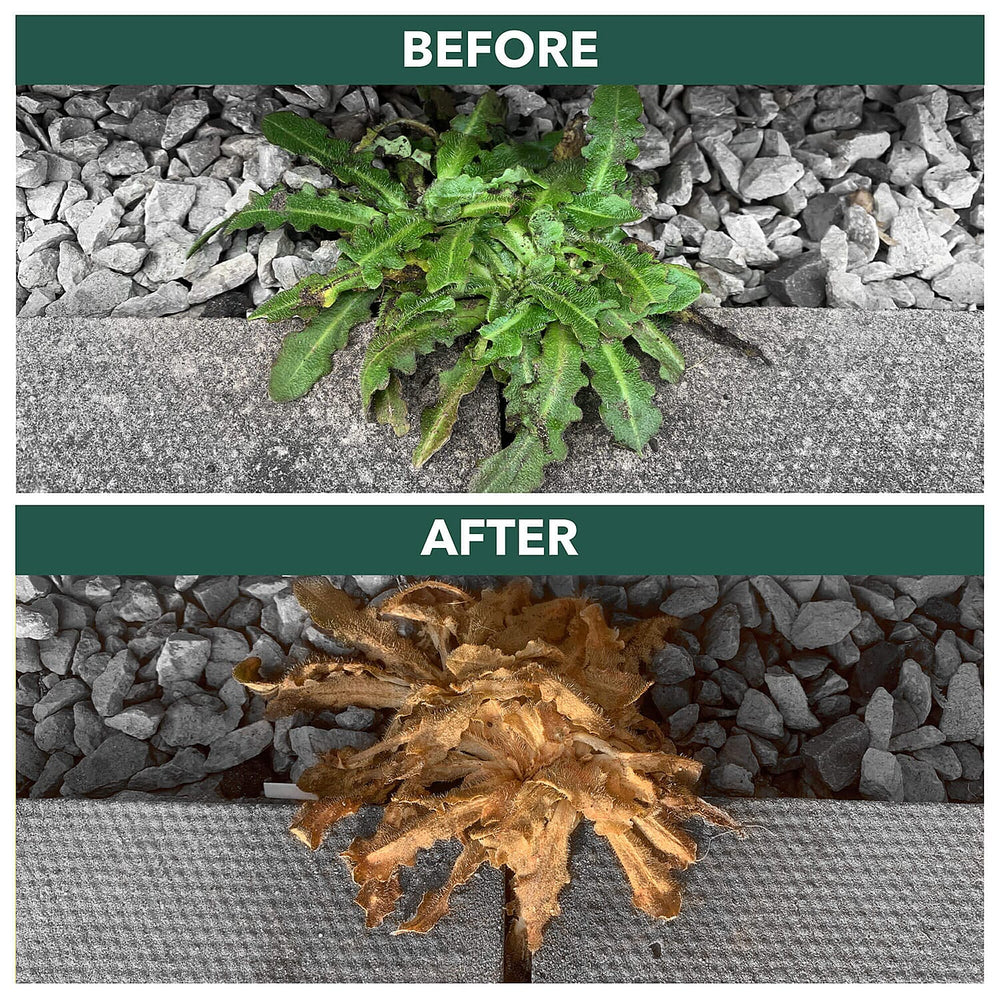 GET RID Fast Acting Weedkiller 5 Litres.