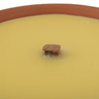 Prices Terracota Citronella Candle 10 Hour Burn Time - Yellow