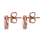 RACHEL GALLEY Lolite, Rhodolite Garnet, Chrome Diopside and Multi Gemstone Earrings (with Push Back) in 18K Vermeil  Rose Gold Overlay Sterling Silver