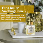 Reed Diffuser Gift Set With Natural Reeds (110ml) - Jasmine