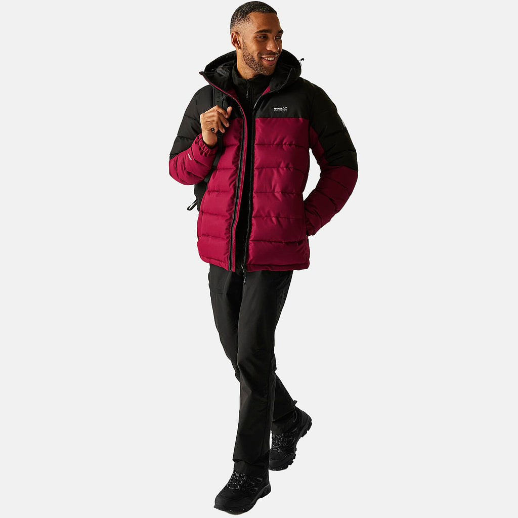 Regatta Mens Padded Jacket With Hood (Size XXL) - Maroon