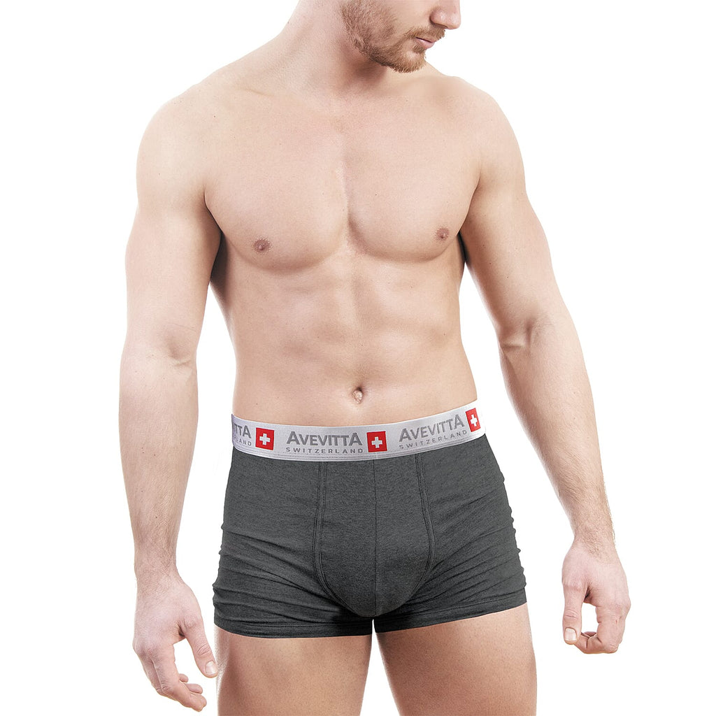 Sankom Avevitta 95% Cotton Antibacterial, Anti-Moisture Zinc Oxide Technology Mens Underwear (Size L) - Grey