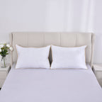 Set of 2 - Down Alternative Pillow Cover with Gold Piping and Zipper Closure (Size 50x70 cm)