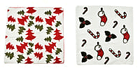 Set of 2- 11Set of 2 100% Towel Embroidery Soft Cushion Cover- White