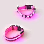 Rechargeable Set of 2 Adjustable LED Lighted Dog Collar with Clip Closure (Size M) - Pink