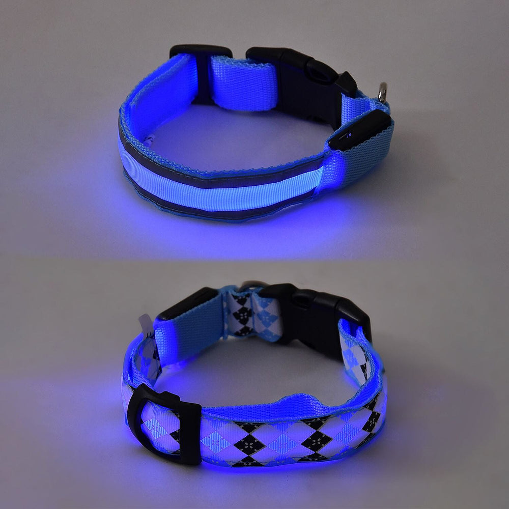 Rechargeable Set of 2 Adjustable LED Lighted Dog Collar with Clip Closure (Size M) - Blue