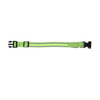 Rechargeable Set of 2 Adjustable LED Lighted Dog Collar with Clip Closure (Size L) - Green