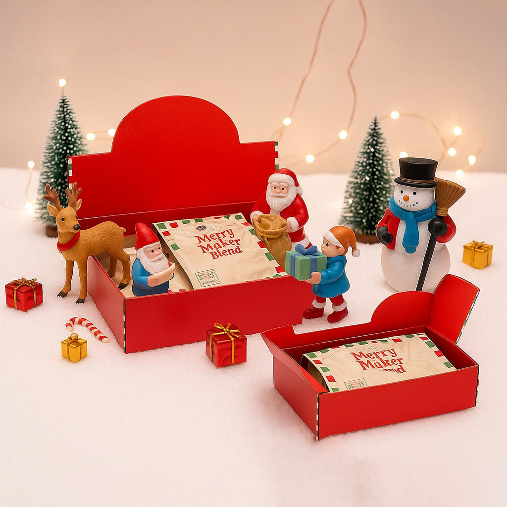 Set of 20 Mystery Christmas Village Box