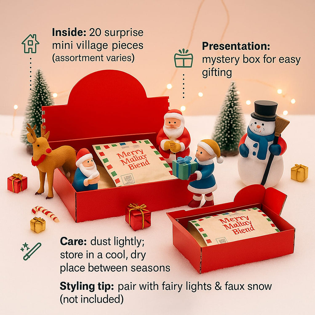 Set of 20 Mystery Christmas Village Box