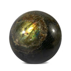 Tucson Find - Gem Treasure Labradorite 1573.50 Ct