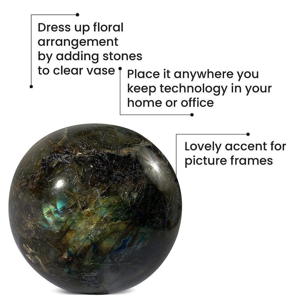 Tucson Find - Gem Treasure Labradorite 1573.50 Ct