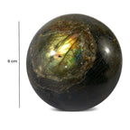 Tucson Find - Gem Treasure Labradorite 1573.50 Ct