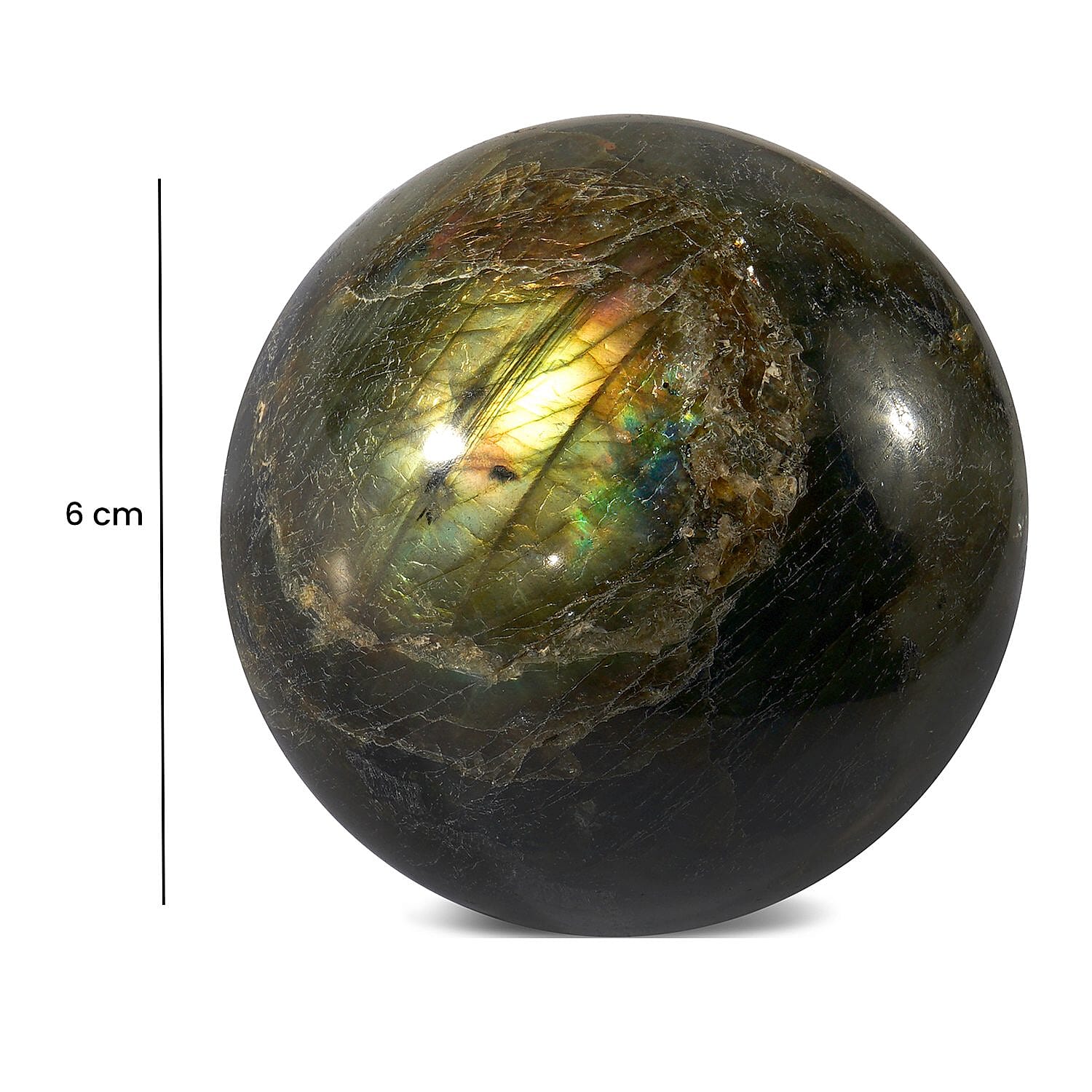 Tucson Find - Gem Treasure Labradorite 1573.50 Ct