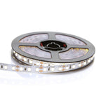 Special Pick- CuQoo Smart LED Strip Lights 2m
