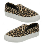 Spot On Ladies Shoe (Size 7) - Leopard