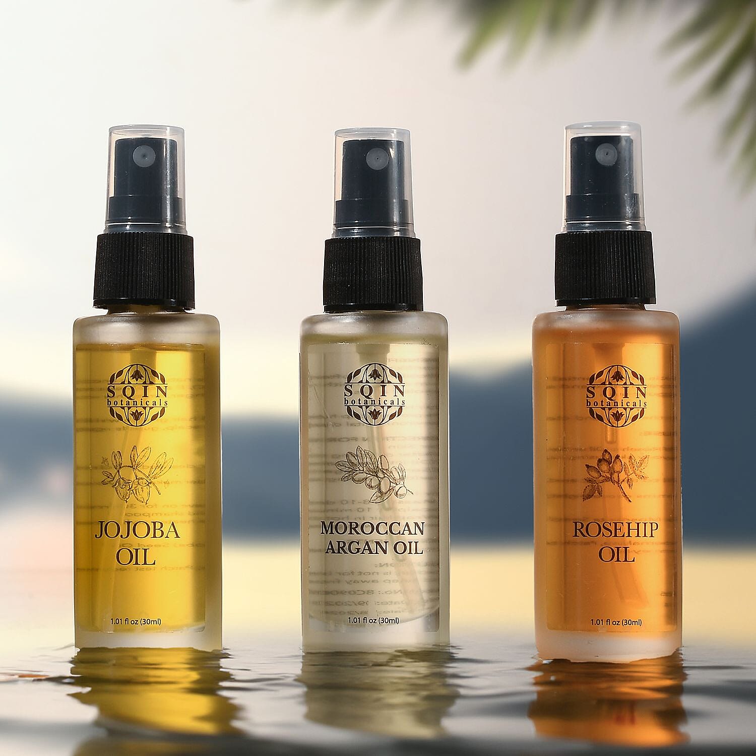 MONDAY MEGA DEAL - Sqin Botanicals Set of 3 Oils - Moringa Oil,  Argan Oil & Rosehip Oil (30ml each)