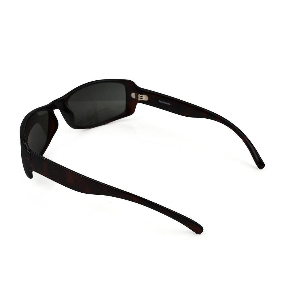Sunglass - Tortoise
