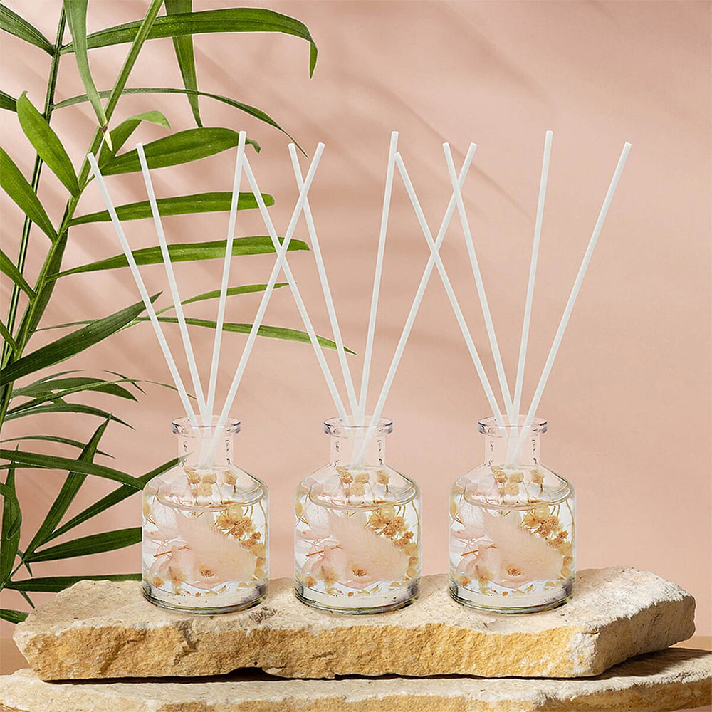 Set of 3 Peony - Blush Suede Diffuser (50ml) - Rose