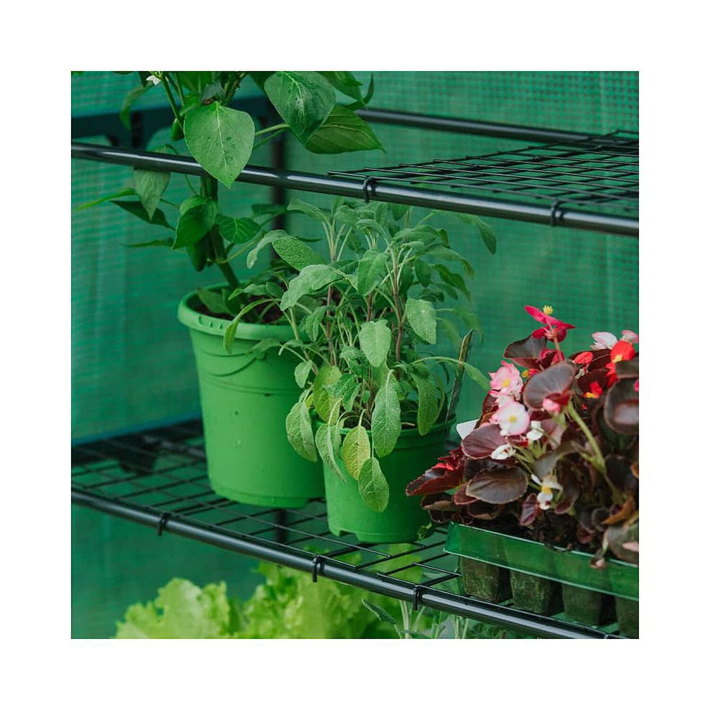 GROW IT Premium 4 Tier Extra Wide Growhouse - Green