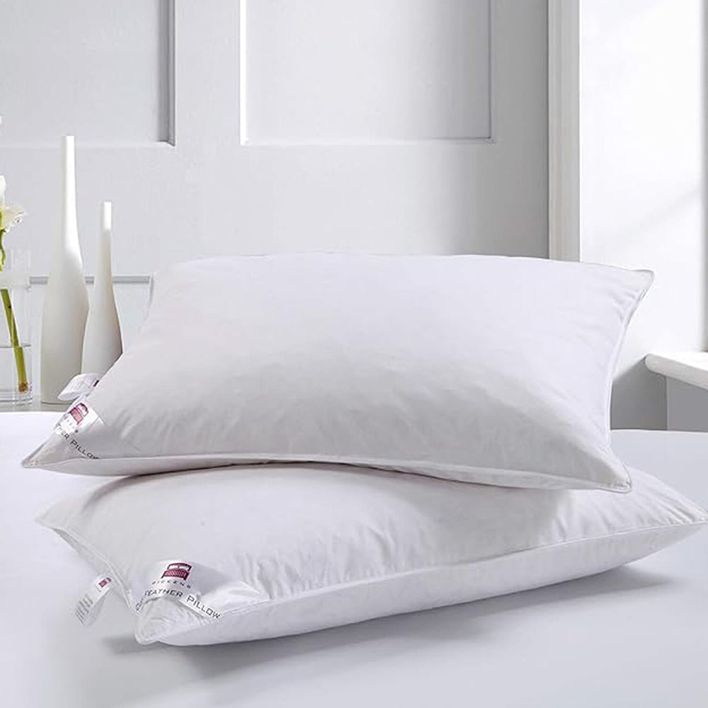 Set of 2 Scandanavian Classic Duck Feather and Down Pillows - White