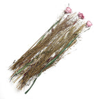 Dried Floral Arrangement Home Decor in Paper Tray with Grass Bottom & Sola Thai Rose - Pink
