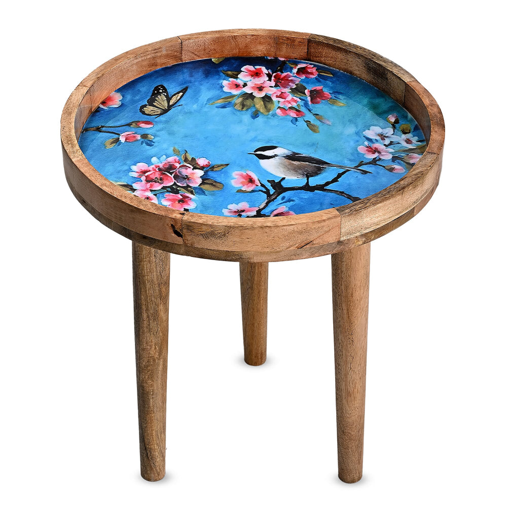 Mango Wood Enamelled Coffee Table (Size 45 x 45 cm) Flat Packed - Multi Colour
