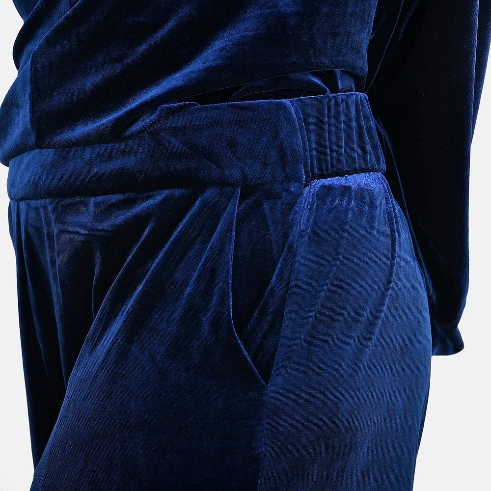 Blue Velvet Trousers (Size M)