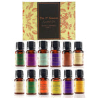 5th Season - Set of 12 Essential Oils - 10 ml Each (Natural Lavender, Eucalyptus, Lemongrass, Tea tree, Sweet Orange, Peppermint, Bergamot, Vanilla, Patchouli, Ylang Ylang, Jasmine & Sandalwood)