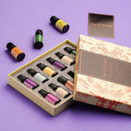 5th Season - Set of 12 Essential Oils - 10 ml Each (Natural Lavender, Eucalyptus, Lemongrass, Tea tree, Sweet Orange, Peppermint, Bergamot, Vanilla, Patchouli, Ylang Ylang, Jasmine & Sandalwood)
