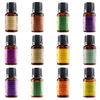 5th Season - Set of 12 Essential Oils - 10 ml Each (Natural Lavender, Eucalyptus, Lemongrass, Tea tree, Sweet Orange, Peppermint, Bergamot, Vanilla, Patchouli, Ylang Ylang, Jasmine & Sandalwood)