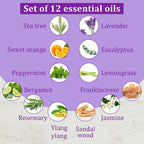 5th Season - Set of 12 Essential Oils - 10 ml Each (Natural Lavender, Eucalyptus, Lemongrass, Tea tree, Sweet Orange, Peppermint, Bergamot, Vanilla, Patchouli, Ylang Ylang, Jasmine & Sandalwood)