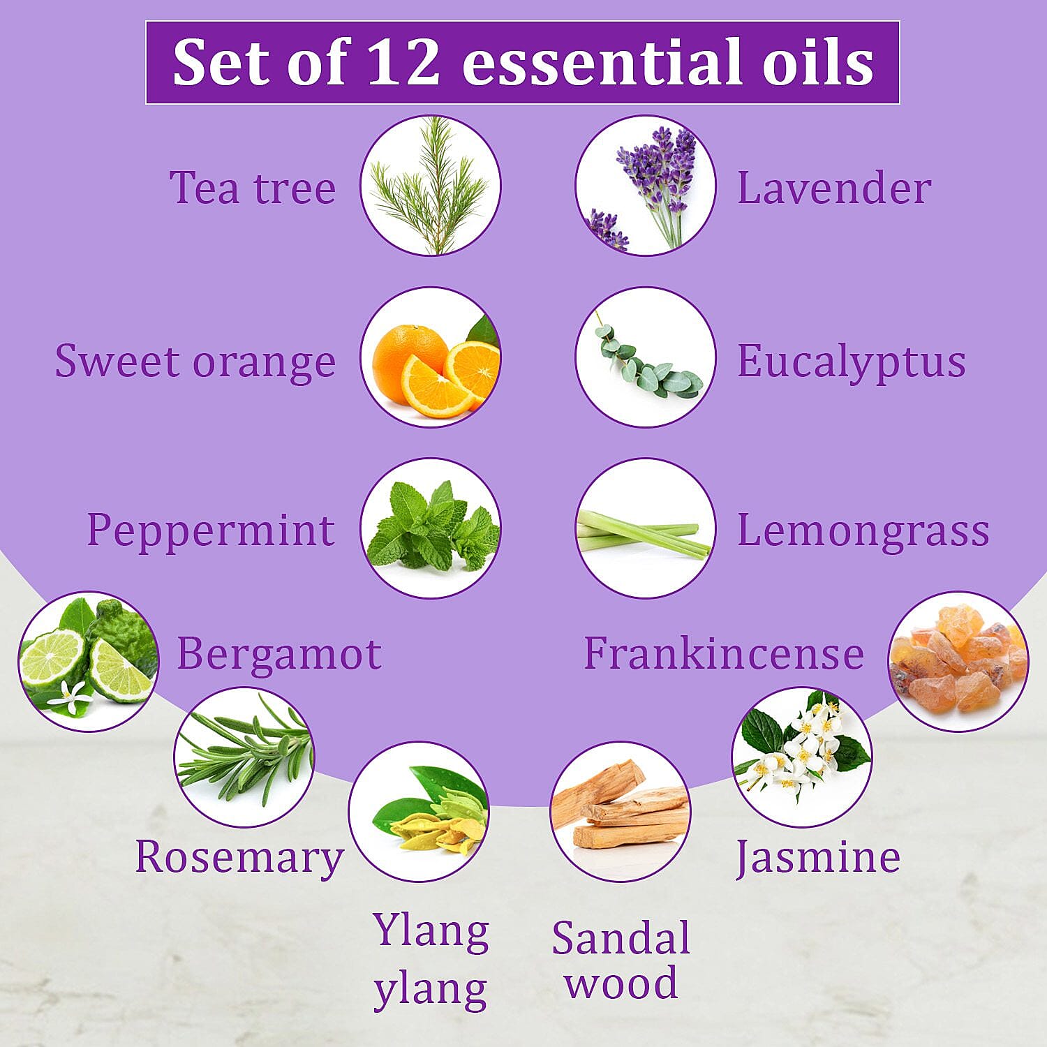 5th Season - Set of 12 Essential Oils - 10 ml Each (Natural Lavender, Eucalyptus, Lemongrass, Tea tree, Sweet Orange, Peppermint, Bergamot, Vanilla, Patchouli, Ylang Ylang, Jasmine & Sandalwood)