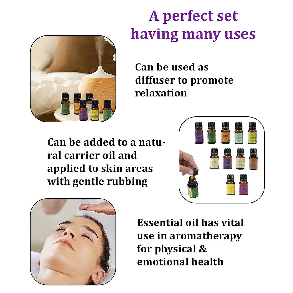 5th Season - Set of 12 Essential Oils - 10 ml Each (Natural Lavender, Eucalyptus, Lemongrass, Tea tree, Sweet Orange, Peppermint, Bergamot, Vanilla, Patchouli, Ylang Ylang, Jasmine & Sandalwood)