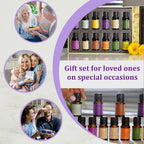 5th Season - Set of 12 Essential Oils - 10 ml Each (Natural Lavender, Eucalyptus, Lemongrass, Tea tree, Sweet Orange, Peppermint, Bergamot, Vanilla, Patchouli, Ylang Ylang, Jasmine & Sandalwood)