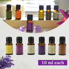5th Season - Set of 12 Essential Oils - 10 ml Each (Natural Lavender, Eucalyptus, Lemongrass, Tea tree, Sweet Orange, Peppermint, Bergamot, Vanilla, Patchouli, Ylang Ylang, Jasmine & Sandalwood)