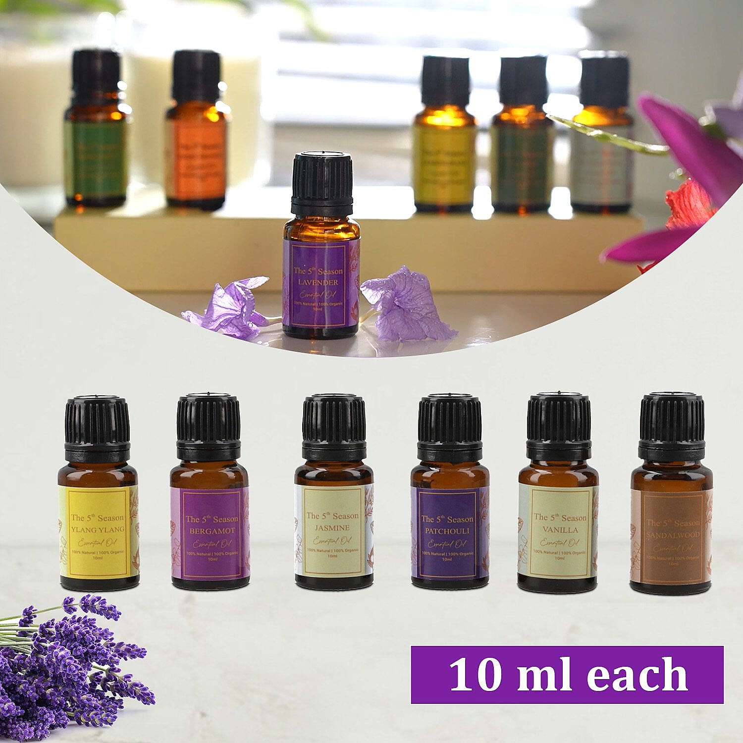 5th Season - Set of 12 Essential Oils - 10 ml Each (Natural Lavender, Eucalyptus, Lemongrass, Tea tree, Sweet Orange, Peppermint, Bergamot, Vanilla, Patchouli, Ylang Ylang, Jasmine & Sandalwood)