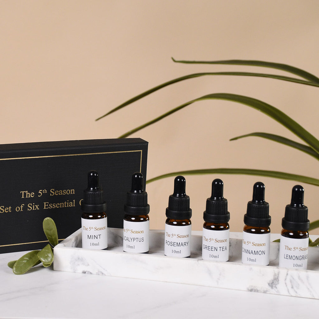 The 5th Season - Set of 6 Fragrance Oils Energising Set (Fragrance- Eucalyptus, Mint,  Rosemary, Lemongrass, Cinnamon and  Green Tea)- 10ml each