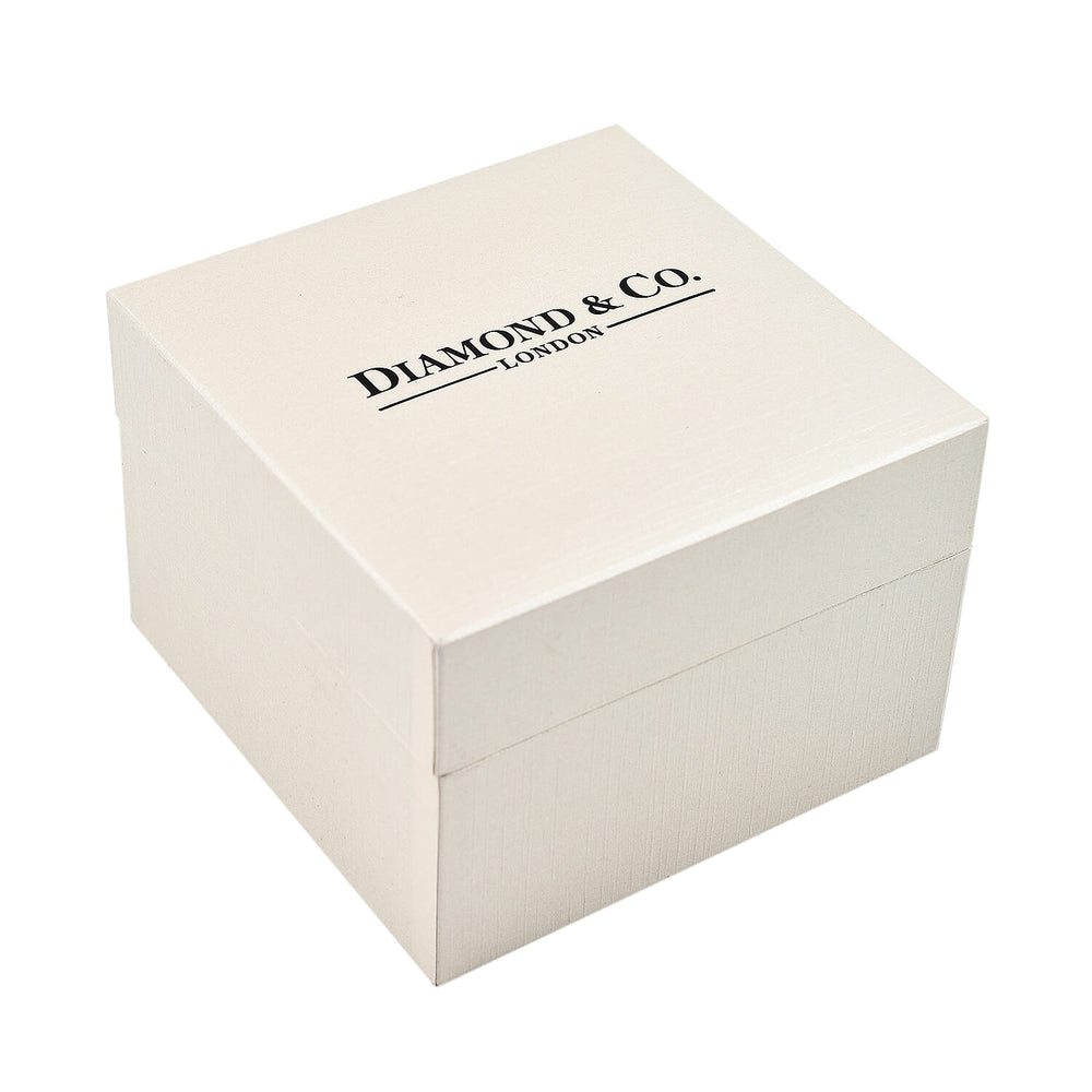 The Diamond & Co. Ladies Watch with Genuine Diamond with Silver Dial With in Two Tone