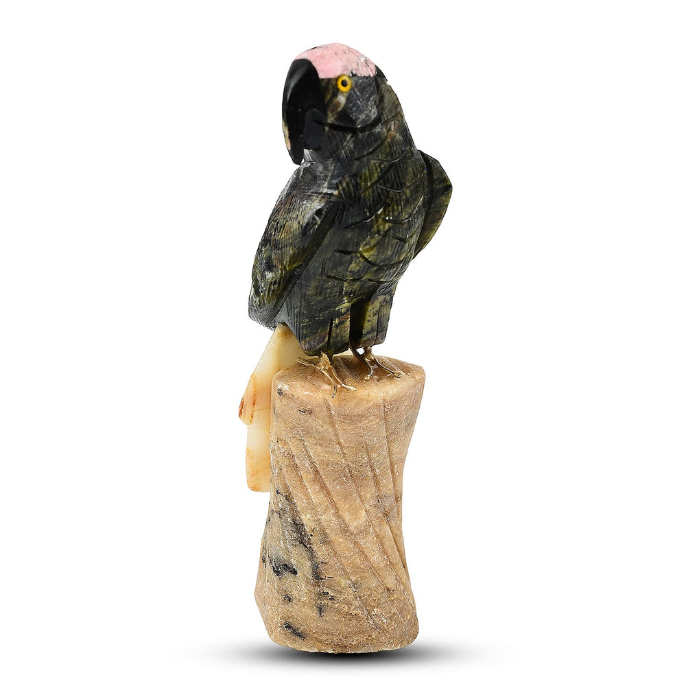 Tucson Find - Gem Decor Parrot Figurine (Length 4 cm, Height - 12 Cm) - Green