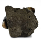 Tucson Find - Gem Decor Woodepecker Couple Figurine (Length 4.5 cm, Height - 9.9 Cm) - Black