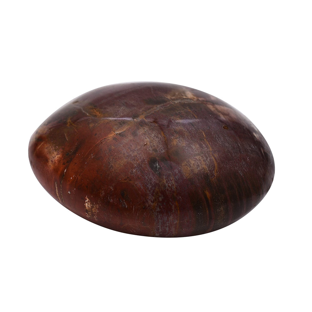 Tucson Rare Finds - Natural Polished Petrified Fossilised Wood Pebble -  650 Ct.