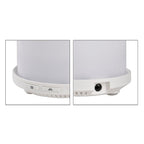 Ultrasonic Aroma Diffuser with 10 Fragrance Oils (Power 5W) - 120ml - LED Colors