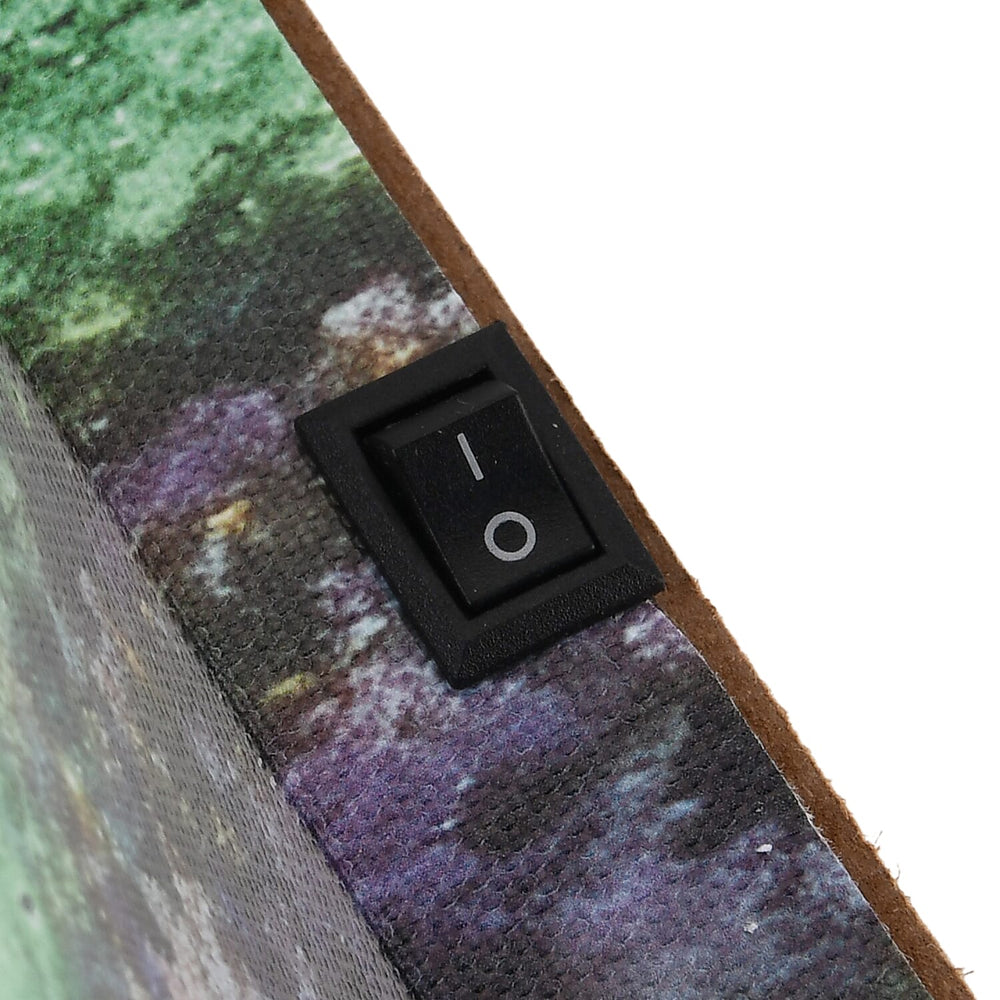 Bliss - Beyond Twinkling Nocturnal Woodland Wall Arts with built- in light (30x40cm)