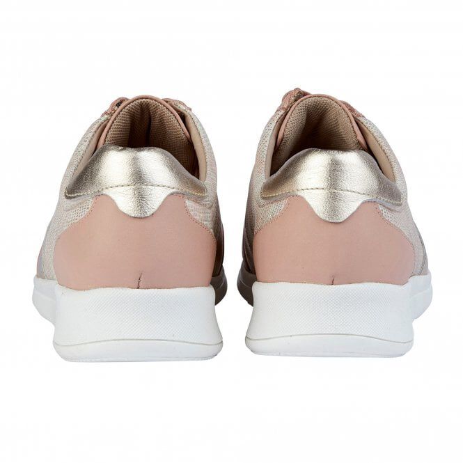 Lotus Stressless Leather Florence Lace-Up Trainers (Size 3) - Pink